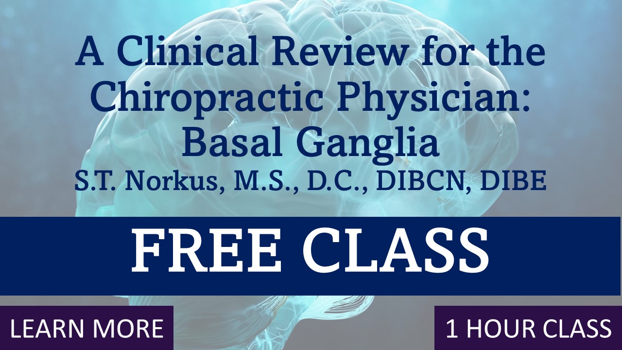 A Clinical Review for the Chiropractor: Basal Ganglia